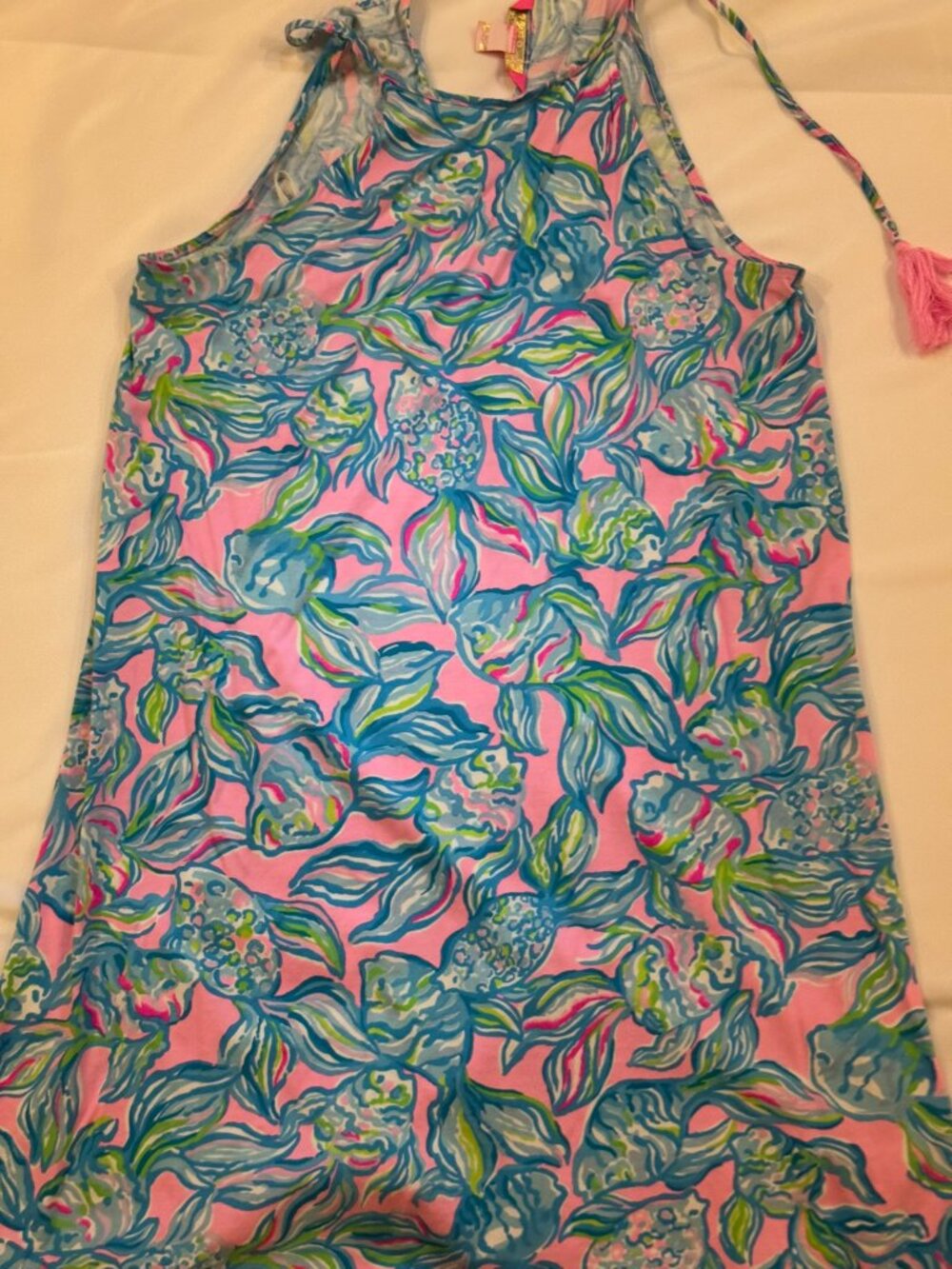 Lilly Pulitzer Dress (worn once).